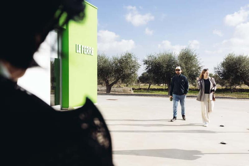 Apulia: oil tour, from field, to bottle, to food matching - The Tasting Experience: Nose, Palate, and Food Pairings