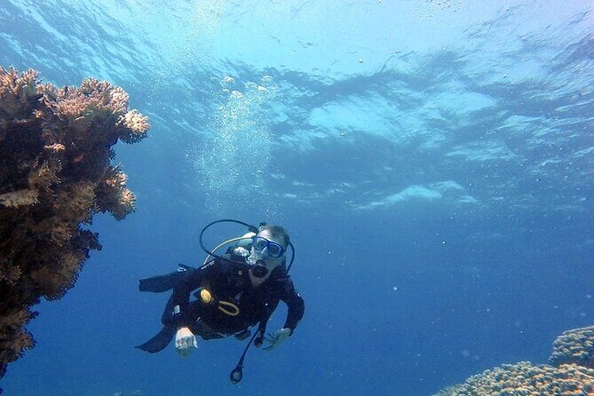 Aqaba Private Scuba Diving Activity with Pick Up - In The Sum Up