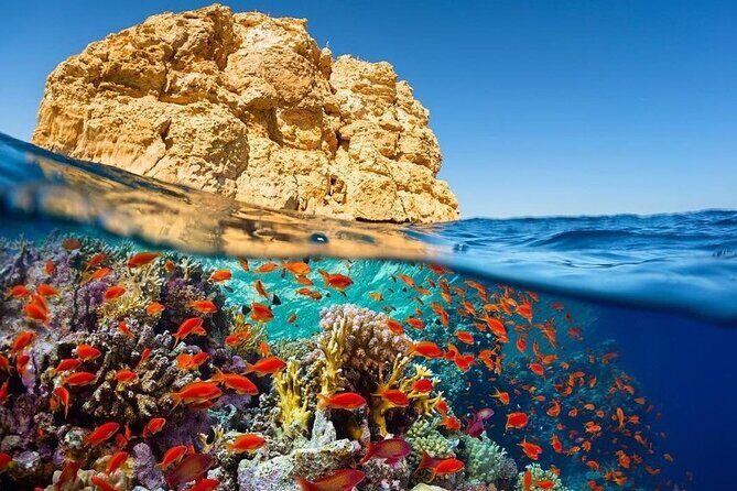 Aqaba Private Transfer to or from Dead Sea - The Sum Up