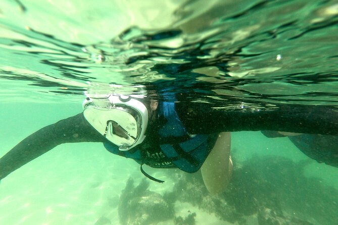 aqua-aventura-diving-for-families