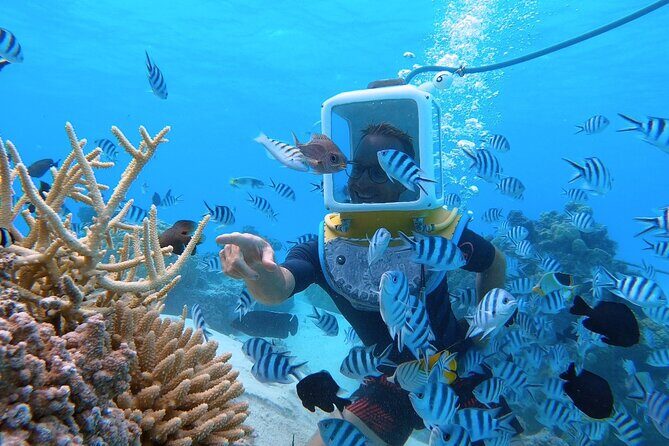 Aqua Safari Introductory Helmet Dive (Underwater Walk) - Exploring the Bora Bora Helmet Dive: What to Expect