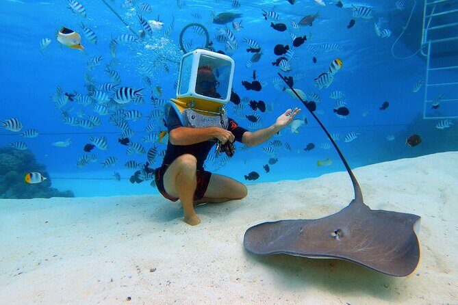 Aqua Safari Introductory Helmet Dive (Underwater Walk) - Who Should Consider This Tour?