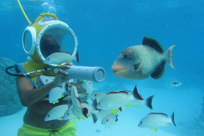 Aquablue Moorea - FAQ: Your Questions Answered