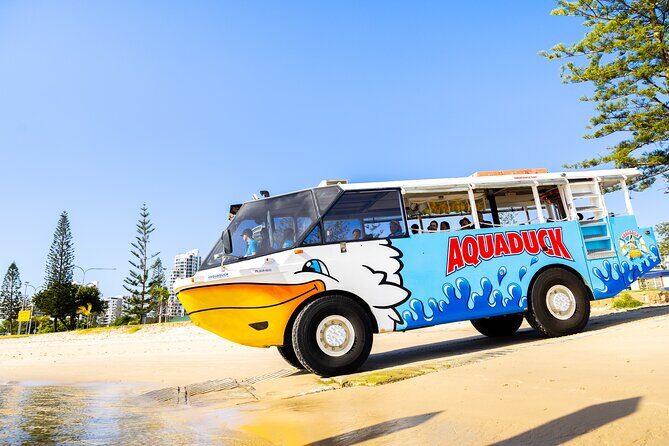 Aquaduck Gold Coast 1 hour City and River Tour - Key Points