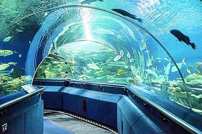 Aquaria KLCC Ticket - Who Will Love This Experience?