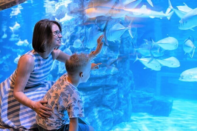 Aquaria Phuket and 4D Trickeye Museum Experience Ticket - Key Points