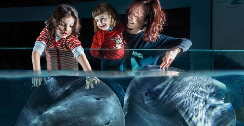 aquarium-of-cattolica-entry-ticket