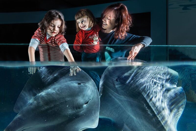 aquarium-of-cattolica-entry-ticket