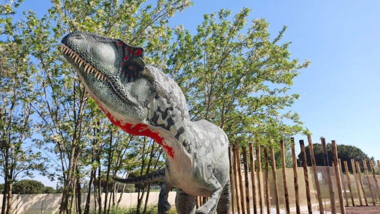 aquarium-of-cattolica-entry-ticket