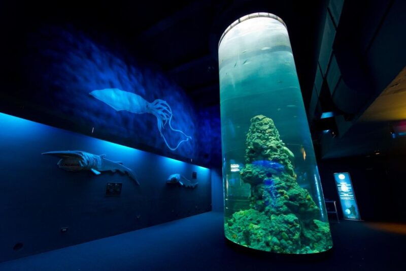 aquarium-of-genoa-focaccia