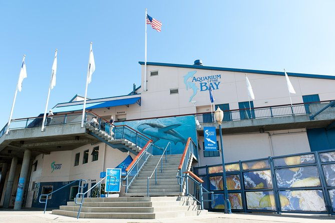 aquarium-of-the-bay-general-admission-ticket-2