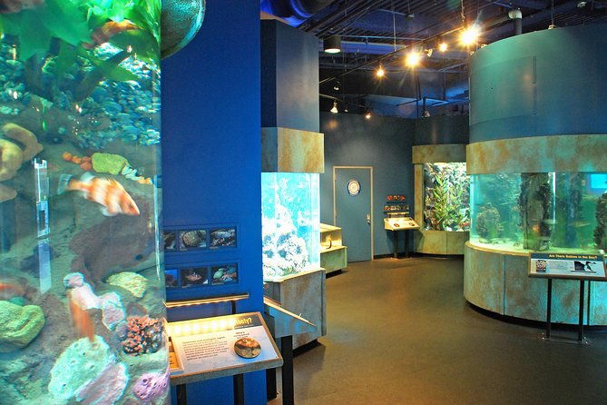 aquarium-of-the-bay-general-admission-ticket-2