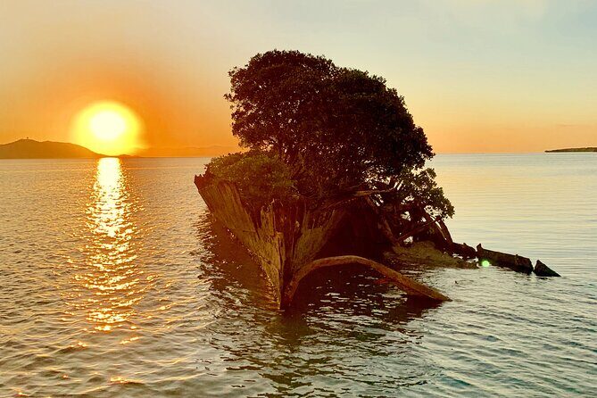 Aquascene Magnetic Island Sunset & Shipwreck Tour - Exploring the Magnetic Island Sunset & Shipwreck Experience
