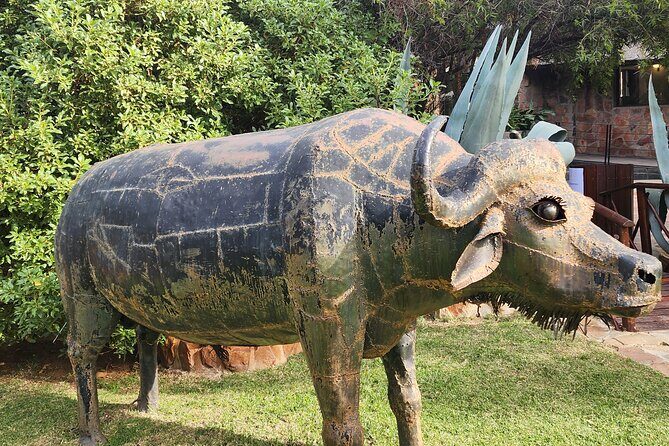 Aquila big five safari with transport, lunch Exclusive park fee. - Who Is This Tour Best For?
