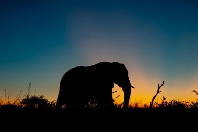 Aquila Game Reserve Sunset Safari - Key Points  