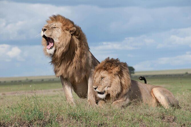 Aquila Game Reserve Sunset Safari - The Itinerary in Detail