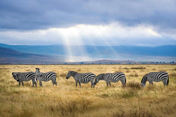 Aquila Game Reserve Sunset Safari - The Sum Up