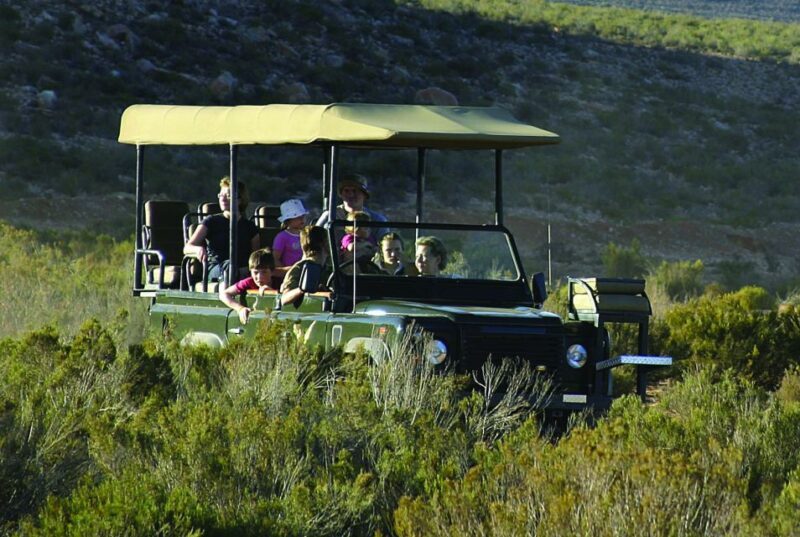 Aquila Reserve: Private Day Tour with Shared Game Drive - Key Points