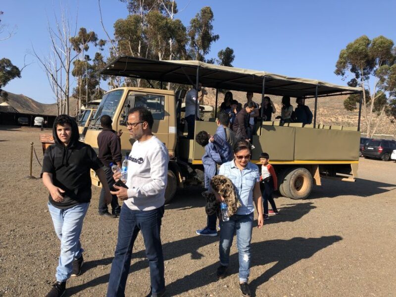 Aquila Reserve: Private Day Tour with Shared Game Drive - The Game Drive – What to Expect