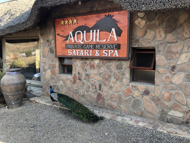 Aquila Reserve: Private Day Tour with Shared Game Drive - Practical Tips for Visitors