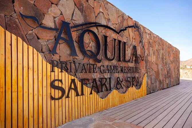 Aquila Safari Game Drive Lunch & Transfers from Cape Town - Key Points