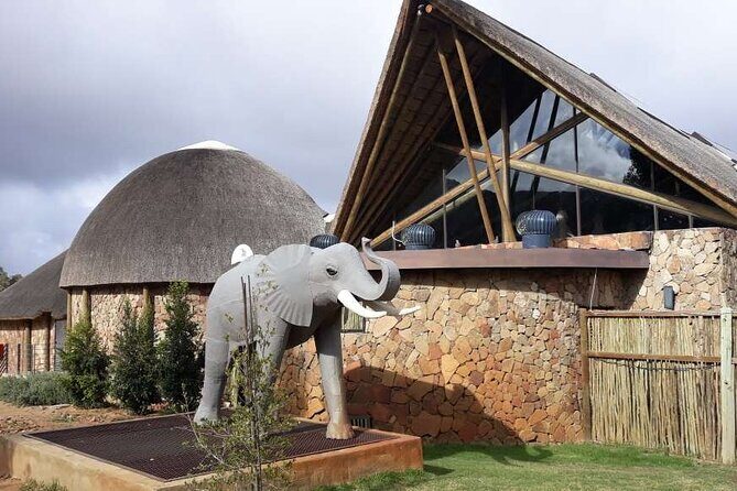 Aquila Safari Game Drive Lunch & Transfers from Cape Town - An In-Depth Look at the Tour