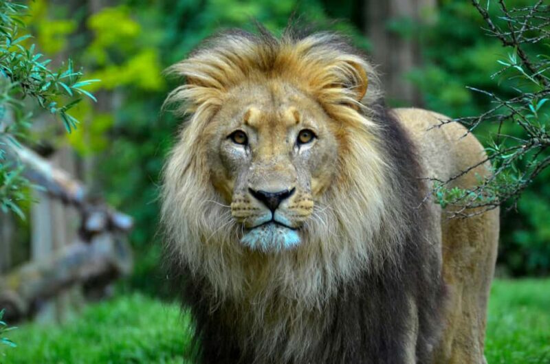 Aquila sunset safari Game reserve Group Tour - Transport and Group Size