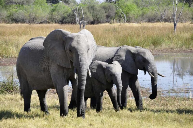 Aquila sunset safari Game reserve Group Tour - Who Should Book This Tour?