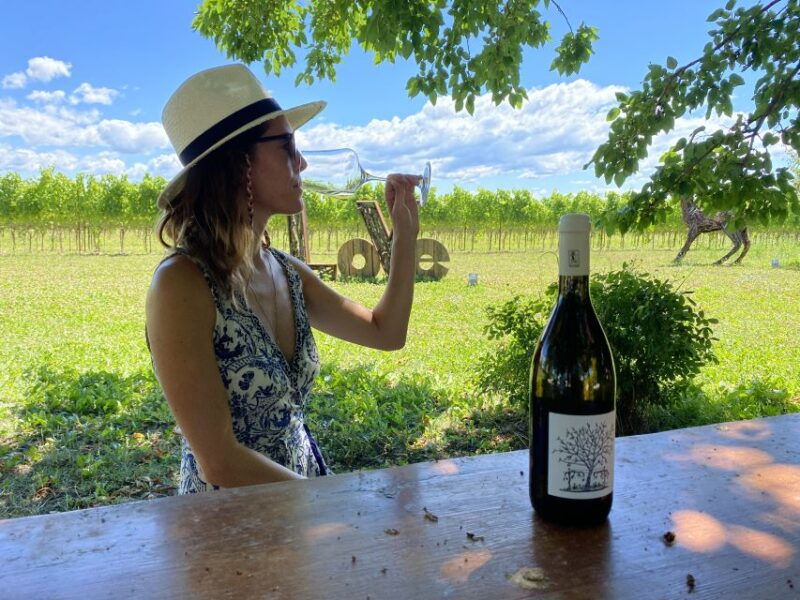 aquileia-winery-tour-and-tasting