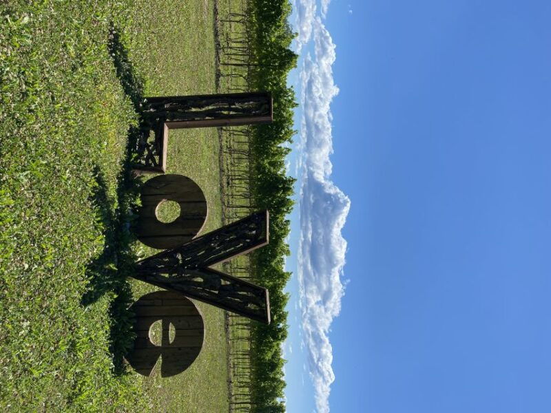 aquileia-winery-tour-and-tasting