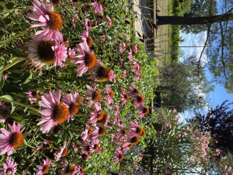 aquileia-winery-tour-and-tasting