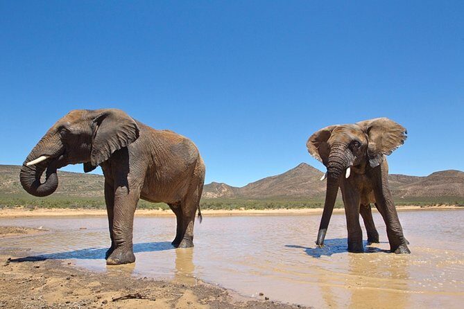 Aquilla BIG5 private Safari Cape Town - Key Points
