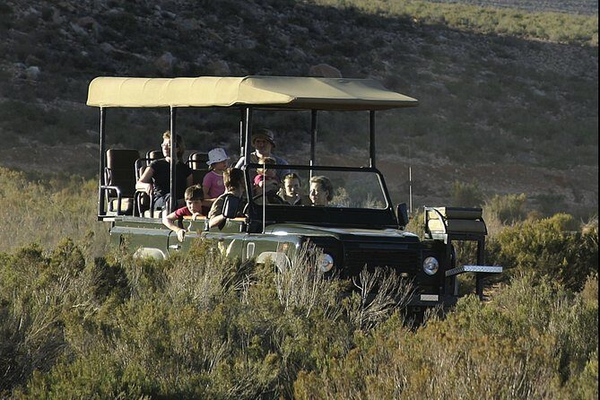 Aquilla BIG5 private Safari Cape Town - The Sum Up