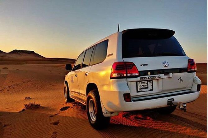 Arabian Desert Experience In Dubai - Who Is This Tour Best For?  
