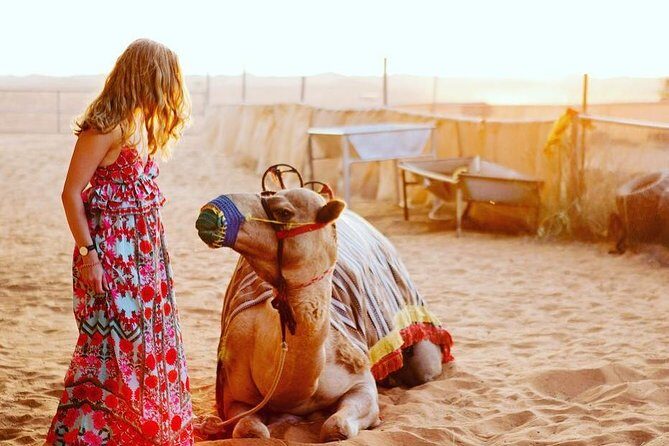 Arabian Desert Safari with BBQ Dinner Camel Ride, Sand Boarding - Considerations and Potential Drawbacks