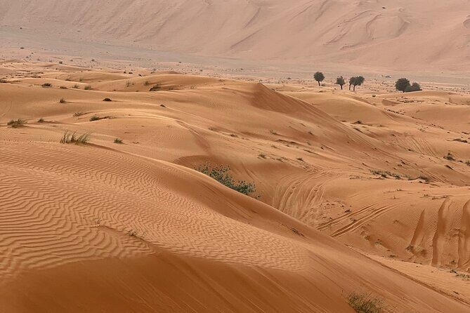 Arabian Dune Buggy Adventure - Who Should Consider This Tour?