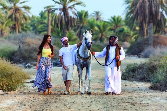 Arabian Morning Horse Riding & Stable Tour - Key Points
