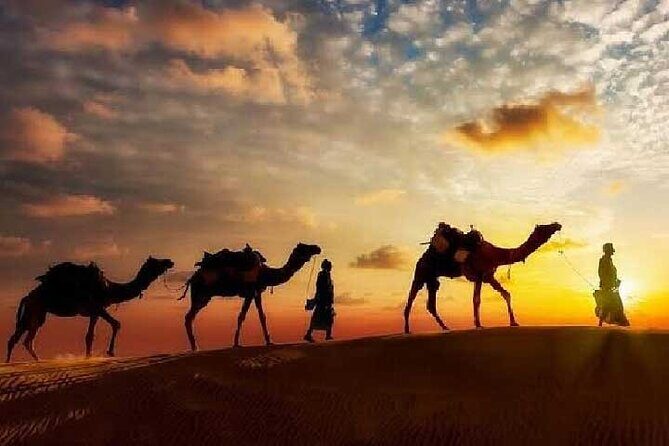 Arabian Night with Cultural Show - Day 2: A Gentle Wake-up and Return