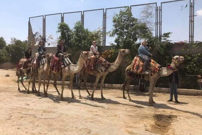 Arabian Nights immersion Pyramids Horse,camel Ride,Bedouin Tea - What the Reviews Reveal