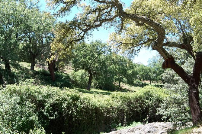 aracena-riotinto-mines-tour-from-seville
