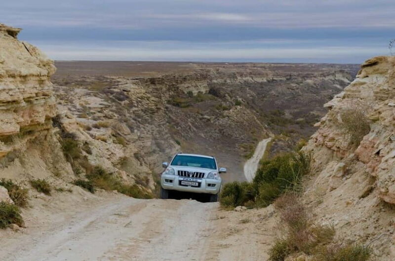 Aral Sea Tour from Nukus 1 night / 2 days - Authentic Experiences & Reviewer Insights