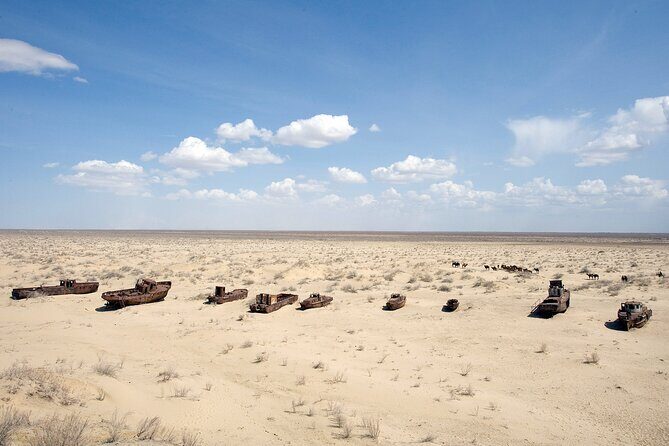 Aral Sea Tour with Khiva-Samarkand and Bukhara and Tashkent - Introduction to Uzbekistans Secrets and Surprises