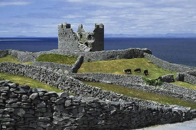 aran-islands-and-cliffs-of-moher-tour-cruise-from-galway
