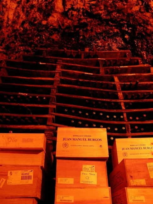 Aranda de Duero: Guided and Dramatized Visit to Medieval Wi - Key Points