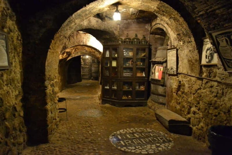 Aranda de Duero: Guided and Dramatized Visit to Medieval Wi - A Closer Look at the Tour Experience