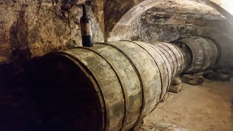 Aranda de Duero: Guided and Dramatized Visit to Medieval Wi - Final Thoughts