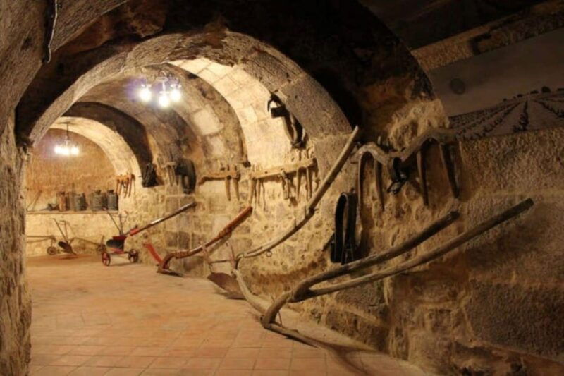 aranda-de-duero-tour-of-underground-cellar-and-wine-museum