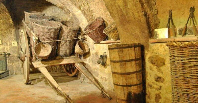 aranda-de-duero-tour-of-underground-cellar-and-wine-museum