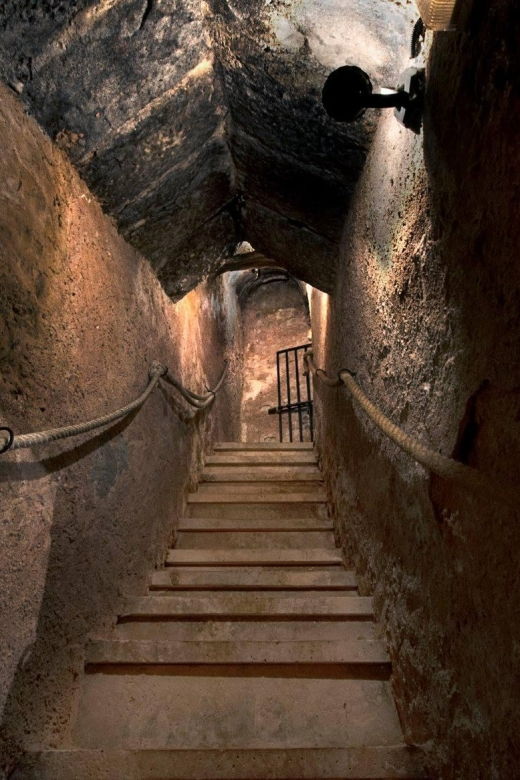 aranda-de-duero-wine-tasting-course-with-iberian-tasting