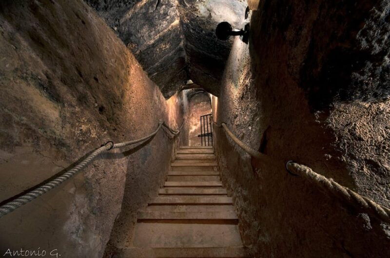 aranda-de-duero-wine-tasting-course-with-iberian-tasting